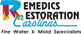remedics logo